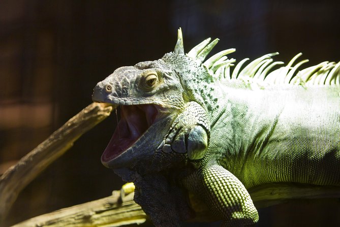 Zaragoza Aquarium Admission Ticket - Getting there and planning your visit