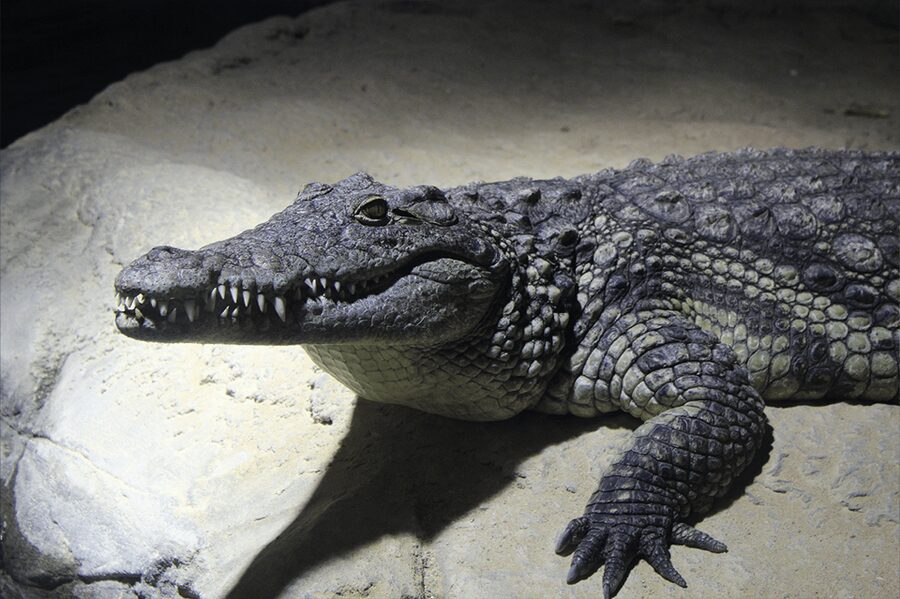 Zaragoza : Aquarium entry ticket - Is the $22 admission good value?