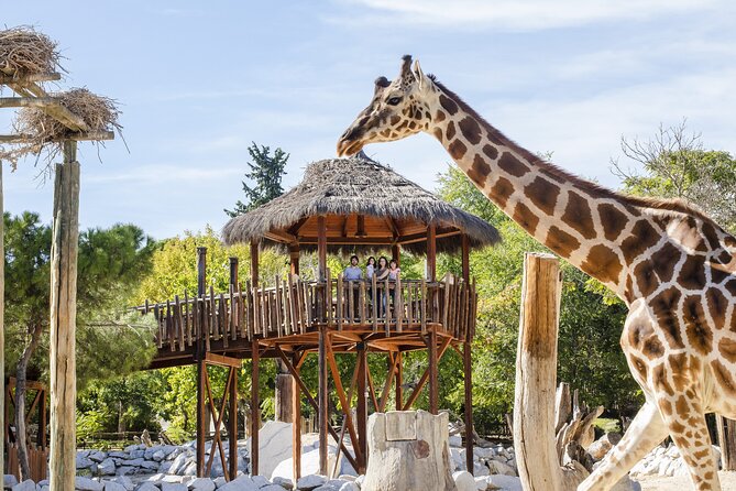 Zoo Aquarium Madrid Admission Ticket - Why the Christmas Day warning matters